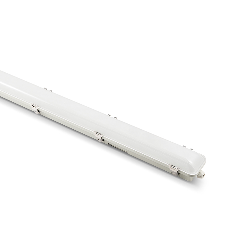Ip65 Tri Proof Light