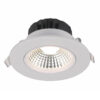 Downlight 1