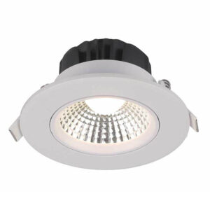 Downlight 1