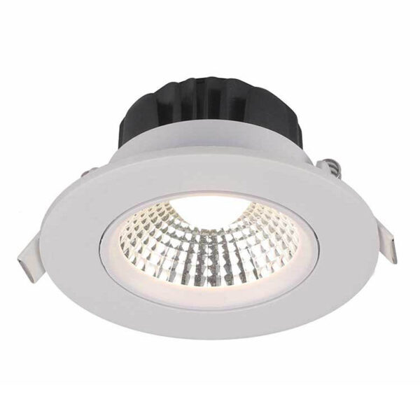 Downlight 1