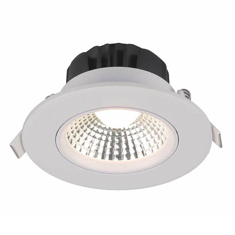 Downlight 1