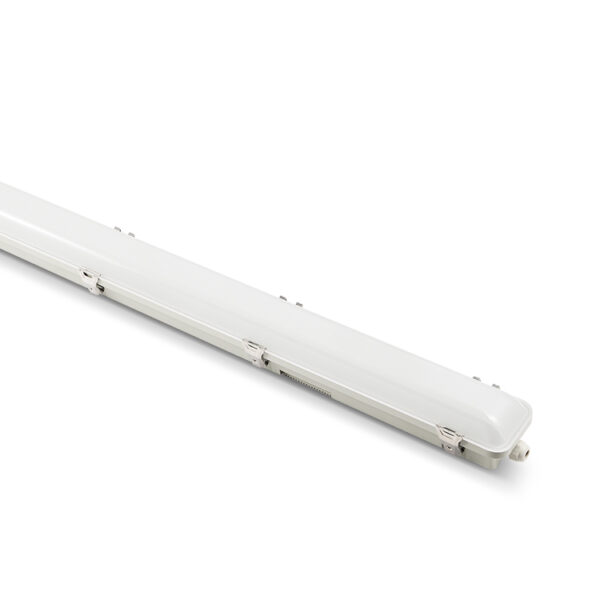 Ip65 Tri Proof Light
